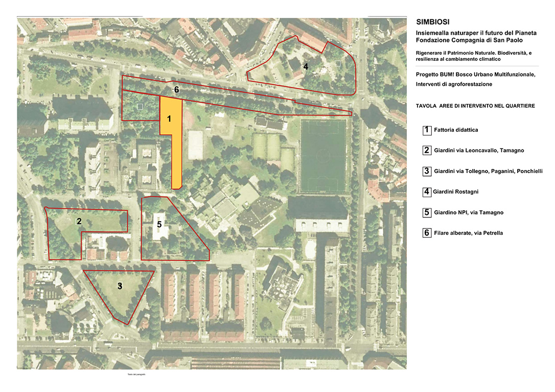 Uno spazio di orto Urbano di AgroBarriera