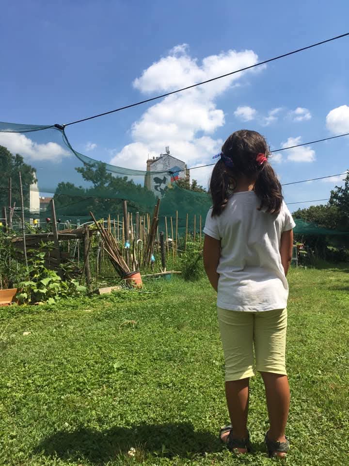 Uno spazio di orto Urbano di AgroBarriera