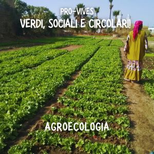 453048015_884712087021128_7646796738387838391_n