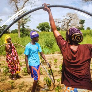 453050179_884712073687796_3721646530798786672_n