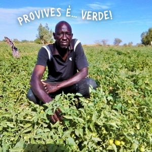 453477448_884712137021123_6453111559299695669_n