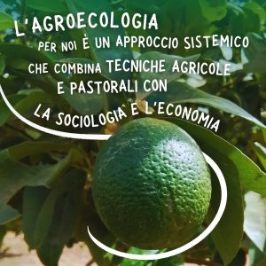 453645322_884712057021131_6668340101960239727_n